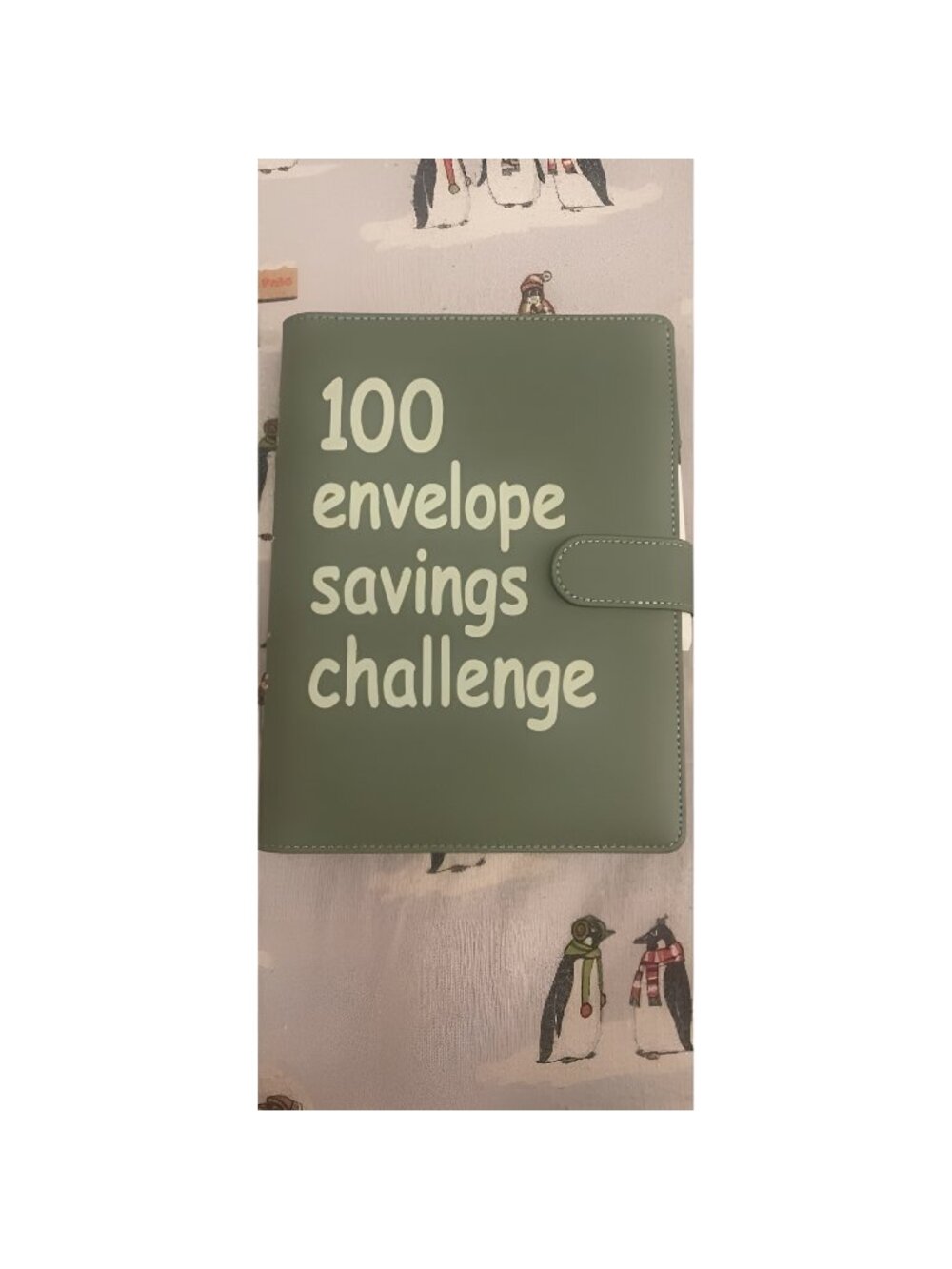 100 Envelopes A5 Money Saving Budget Binder with Envelopes and Saving Book